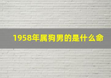 1958年属狗男的是什么命