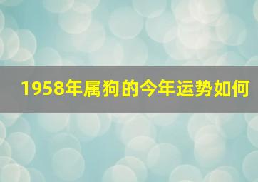 1958年属狗的今年运势如何