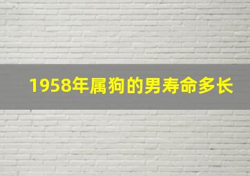 1958年属狗的男寿命多长