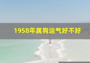 1958年属狗运气好不好