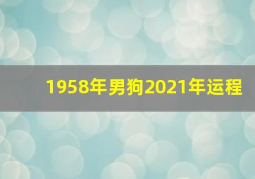 1958年男狗2021年运程