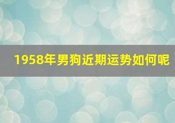 1958年男狗近期运势如何呢