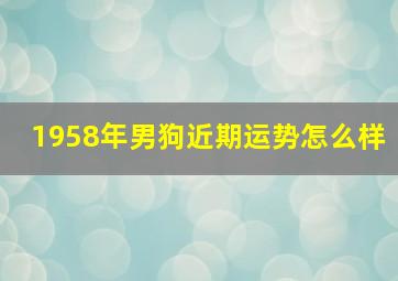 1958年男狗近期运势怎么样