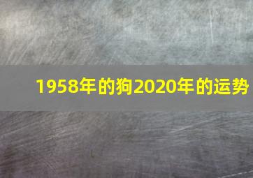 1958年的狗2020年的运势