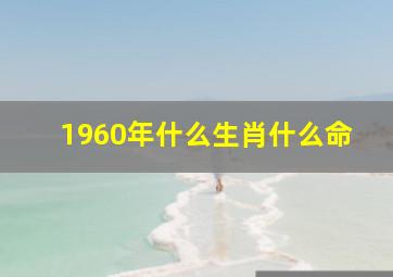 1960年什么生肖什么命