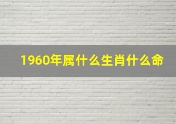 1960年属什么生肖什么命