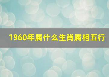 1960年属什么生肖属相五行