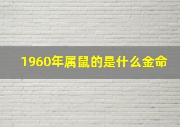 1960年属鼠的是什么金命