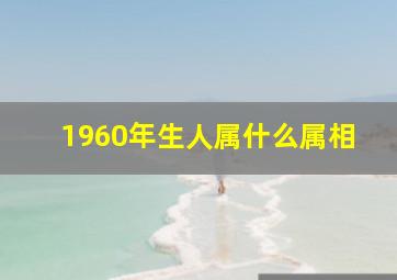 1960年生人属什么属相