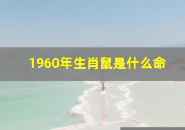 1960年生肖鼠是什么命