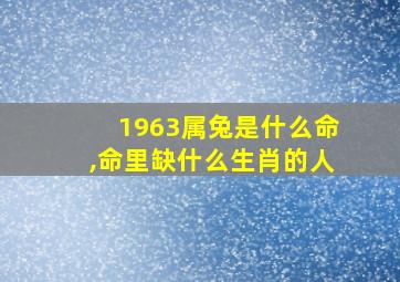 1963属兔是什么命,命里缺什么生肖的人