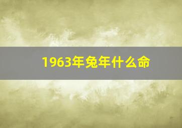 1963年兔年什么命