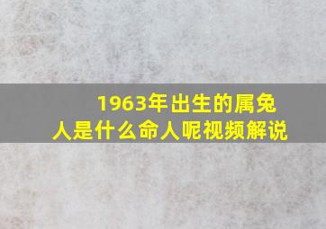 1963年出生的属兔人是什么命人呢视频解说