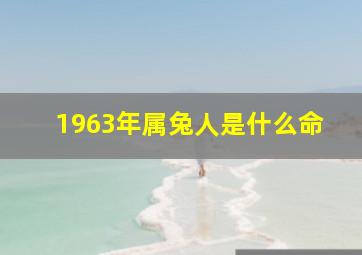 1963年属兔人是什么命