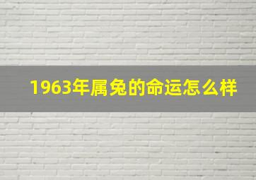 1963年属兔的命运怎么样