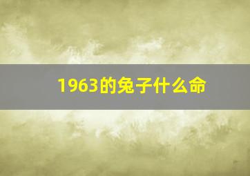 1963的兔子什么命