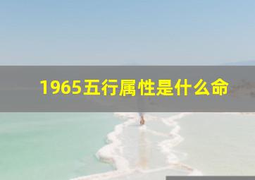 1965五行属性是什么命