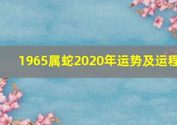 1965属蛇2020年运势及运程