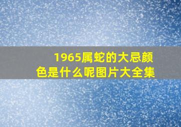 1965属蛇的大忌颜色是什么呢图片大全集