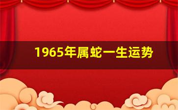 1965年属蛇一生运势