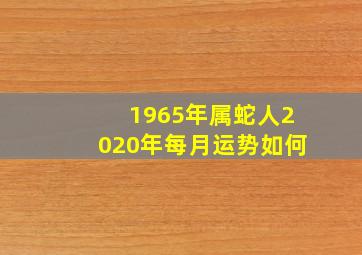 1965年属蛇人2020年每月运势如何