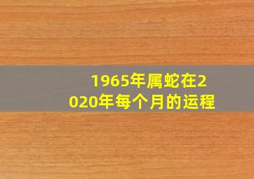 1965年属蛇在2020年每个月的运程