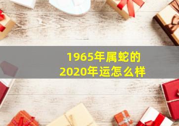 1965年属蛇的2020年运怎么样