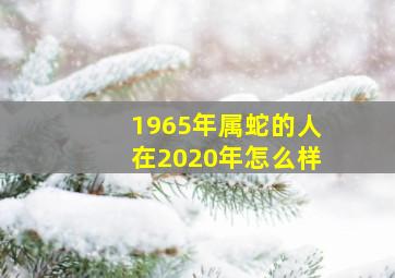 1965年属蛇的人在2020年怎么样