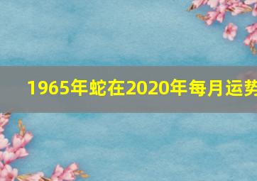 1965年蛇在2020年每月运势