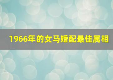 1966年的女马婚配最佳属相