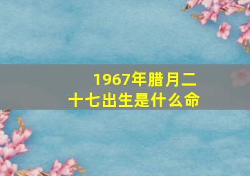 1967年腊月二十七出生是什么命