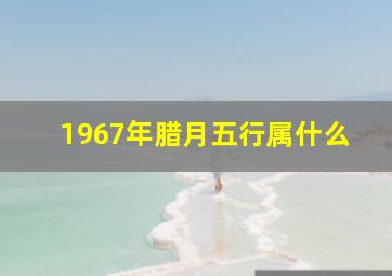 1967年腊月五行属什么