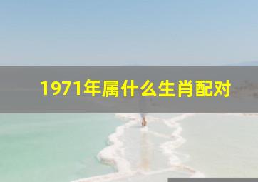 1971年属什么生肖配对