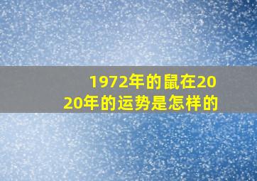 1972年的鼠在2020年的运势是怎样的