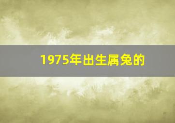 1975年出生属兔的