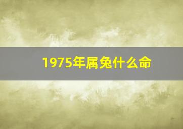 1975年属兔什么命