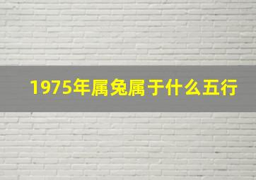 1975年属兔属于什么五行