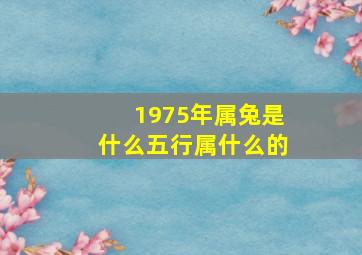 1975年属兔是什么五行属什么的