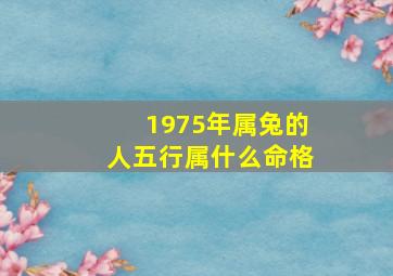 1975年属兔的人五行属什么命格