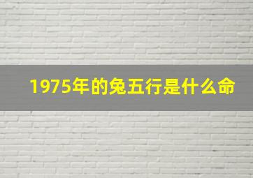 1975年的兔五行是什么命