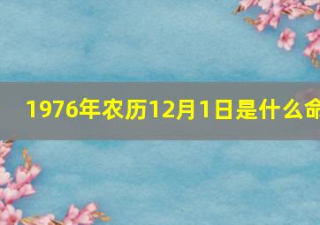 1976年农历12月1日是什么命