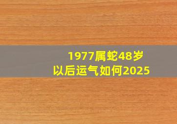 1977属蛇48岁以后运气如何2025