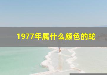 1977年属什么颜色的蛇