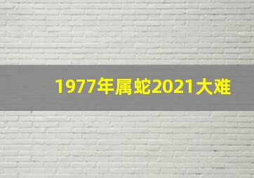 1977年属蛇2021大难