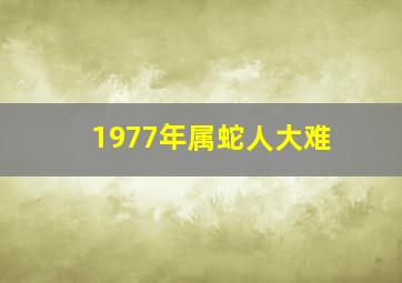 1977年属蛇人大难