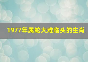 1977年属蛇大难临头的生肖