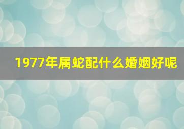 1977年属蛇配什么婚姻好呢