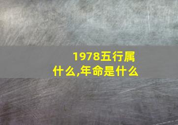 1978五行属什么,年命是什么