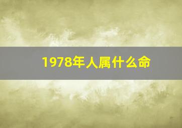 1978年人属什么命