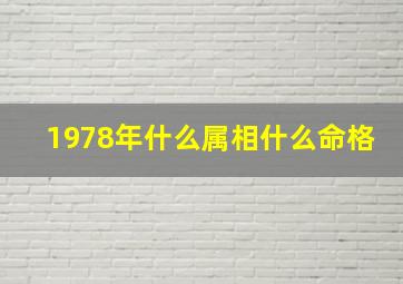 1978年什么属相什么命格